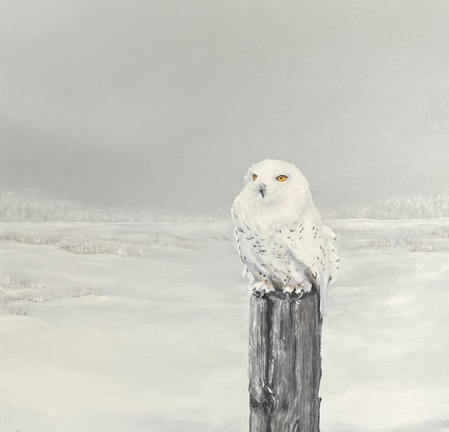 Peace That Watches 24x24"