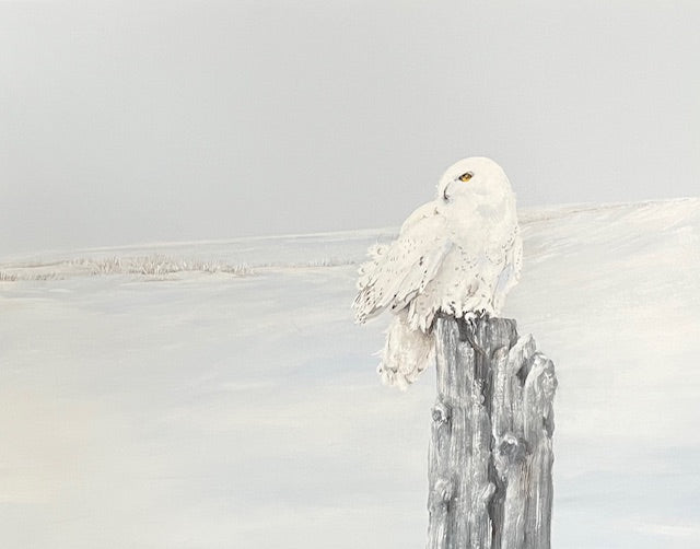 Where Silence Rests 24x30"